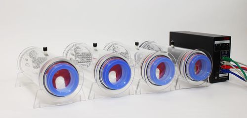 Pletismógrafo para animales - Buxco® Head-out - DSI - para experimentación con animales