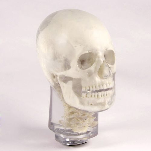 Fantoma de prueba para radiología - 12702 - QUART X-Ray QA Solutions - de cabeza