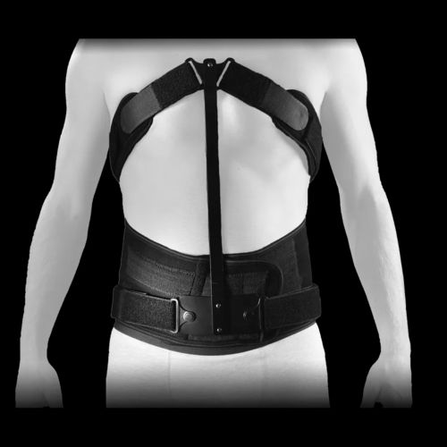Órtesis postural - Lordactiv® Immo - SOBER - hiperextensión vertebral / L / M
