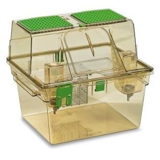 Jaula para la experimentación animal con ventilación - GR1800 - Tecniplast - para roedores / modular / dos cubiertas