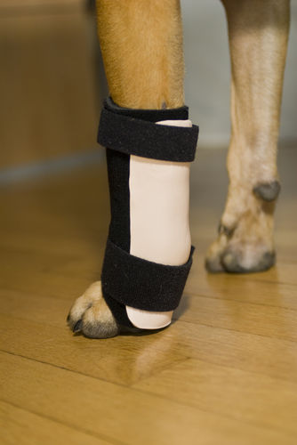 Férula veterinaria túnel carpiano - Thera-Paw - para cánidos