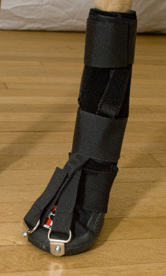 Férula veterinaria de patas - Forelimb Dorsi-Flex Assist - Thera-Paw - para cánidos