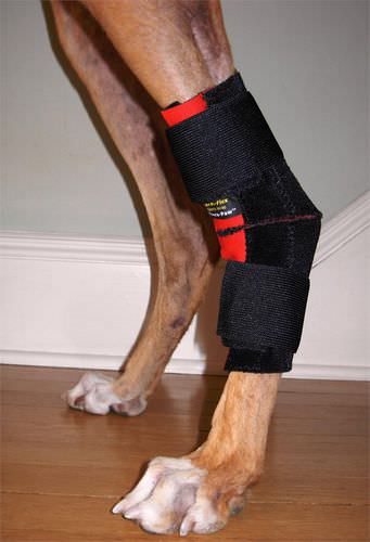 Protector articular veterinario codera - Thera-Paw