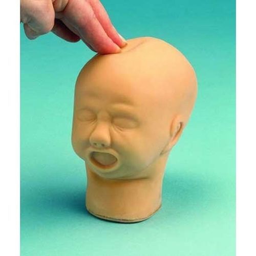 Modelo anatómico de cabeza - ZKK-240-K - Educational + Scientific Products Ltd - de palpación / fetal / flexible