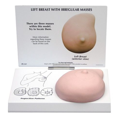 Modelo anatómico de mama - 3401 - GPI Anatomicals - de formación / para el cáncer