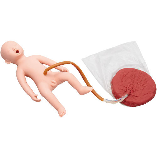 Maniquí de prácticas obstetricoginecológico - M186-3 - Sakamoto Model Corporation - de parto / fetal