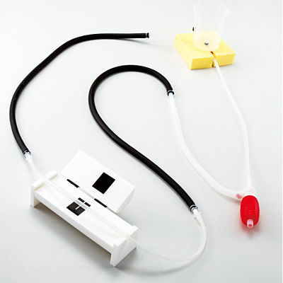 Simulador de medición de la presión arterial - M154 - Sakamoto Model Corporation - para cuidados de enfermería / de kit