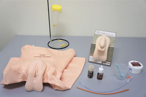 Simulador de formación - M200-6 - Sakamoto Model Corporation - de cateterismo / para cuidados ginecológicos / femenino