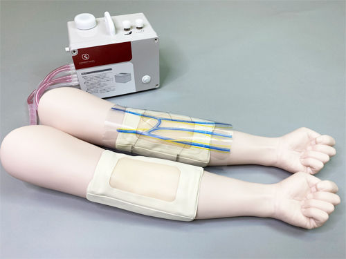 Simulador de formación - M205 - Sakamoto Model Corporation - de inyección intravenosa / para atención general / de anatomía