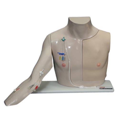Simulador para acceso vascular -  Chester Chest™ - VATA, Inc. - de cateterismo intravenoso / de perfusión / de formación