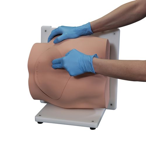 Simulador de punción - BONNIE™ - VATA, Inc. - de palpación / de biopsia / para atención general