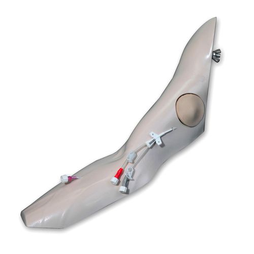 Simulador de perfusión - 2386 - VATA, Inc. - de formación / para atención general / de brazo