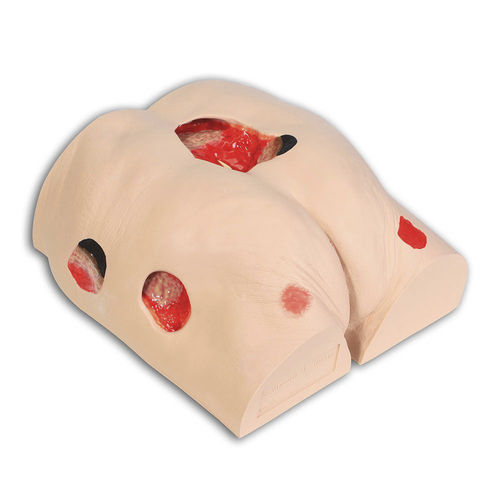 Modelo anatómico lumbosacro - Seymour II™ - VATA, Inc. - para el tratamiento de escaras