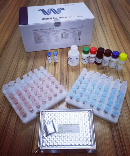Prueba rápida para COVID-19 - IGRA ELISA - Beijing Wantai Biological Pharmacy Enterprise Co., Ltd.  - de proteínas / SARS-COV-2 / de sangre total