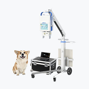 Sistema de radiografía veterinaria digital - Beatle-06P1(Vet-S) - Browiner - portátil