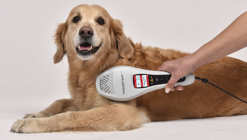Láser veterinario para fotoestimulación veterinaria - PowerTwin XP5 - MKW Lasersystem - de diodo / de mano