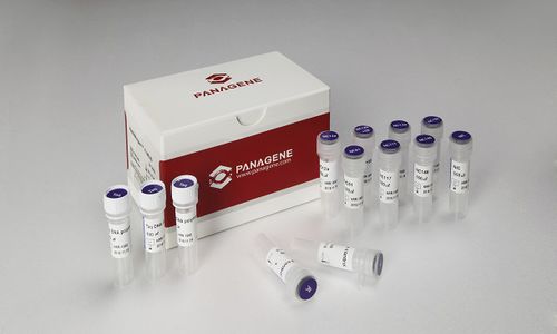 Reactivo en solución - PNAR-2001 - Panagene Inc. - para el cáncer / líquido / para mutaciones de NRAS