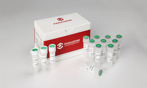 Reactivo en solución - PNAR-1001 - Panagene Inc. - para el cáncer / líquido / para mutaciones de KRAS