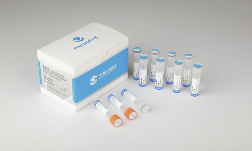 Kit de prueba de cáncer de pulmón - PNACIamp™ - Panagene Inc. - de oncología / para mutaciones de EGFR / de tejidos