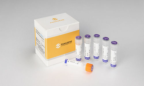 Kit de prueba para el cáncer - PNAC-4001 - Panagene Inc. - de oncología / de tejidos / para RT-PCR