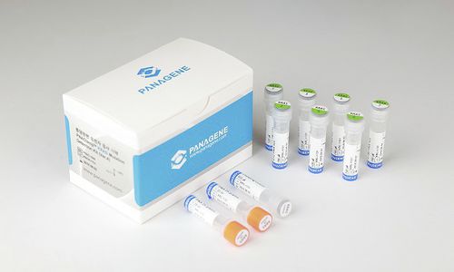 Kit de prueba para el cáncer - PNACIamp™ - Panagene Inc. - de oncología / para mutaciones de KRAS / de plomo