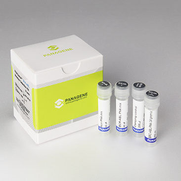 Kit de prueba de leucemia - PNACIamp™ - Panagene Inc. - de tejidos / para RT-PCR