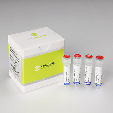 Kit de prueba para el cáncer - PNACIamp™ - Panagene Inc. - de oncología / de mutaciones de JAK2 / de tejidos
