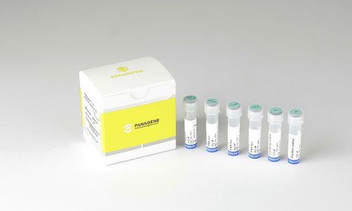Kit de prueba para el cáncer - PNACIamp™ - Panagene Inc. - de oncología / de tejidos FFPE / para RT-PCR