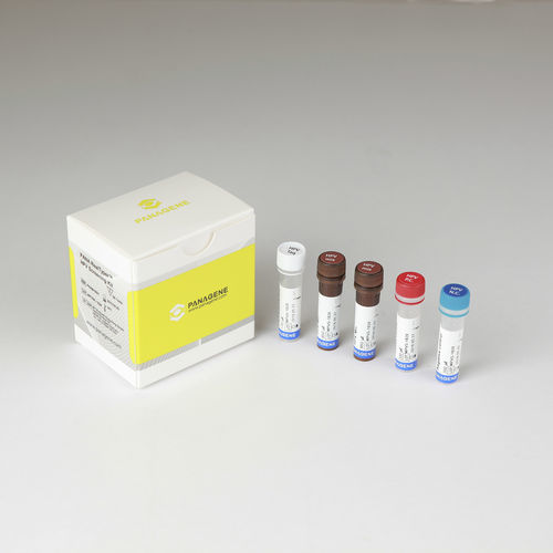 Kit de prueba de cáncer de cuello uterino - PANA RealTyper™ - Panagene Inc. - de oncología / HPV / para RT-PCR