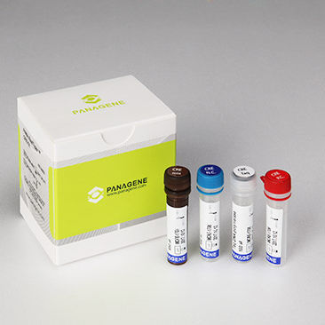 Kit de prueba para enfermermedades infecciosas - PANA RealTyper™ - Panagene Inc. - de enterobacteriáceas