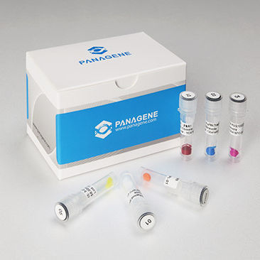 Kit de reactivos en solución - Panagene Inc. - de ácidos nucleicos / de péptido C