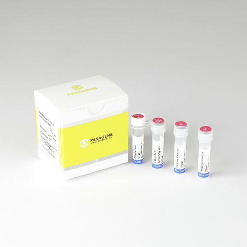Prueba rápida para el cáncer - PNACIamp™  - Panagene Inc. - de oncología / de células / de tejidos