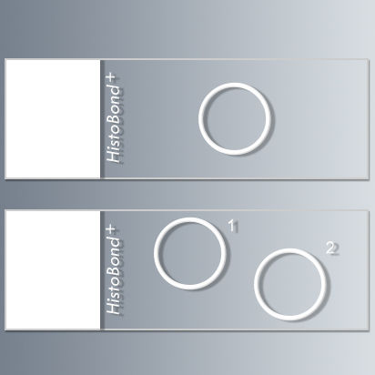 Portaobjetos adhesivo - HistoBond®+ - Paul Marienfeld