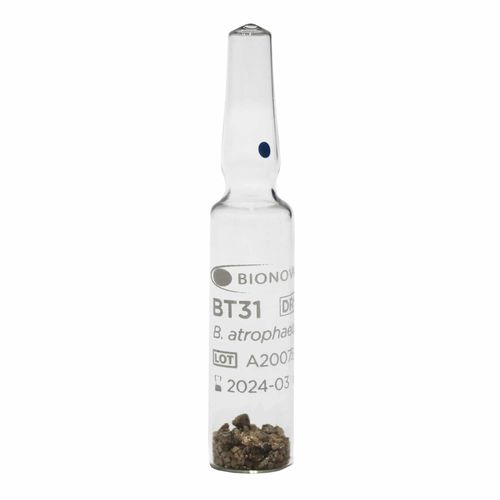 Bioindicador de esterilización - BT31 - Terragene SRL - médico