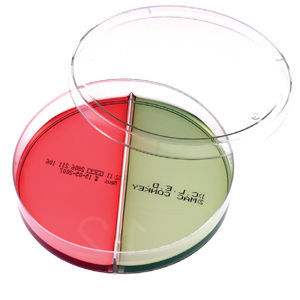 Reactivo agar MacConkey - B193272CLED - Vacutest Kima S.r.l. - para la investigación / de Salmonella / de Shigella