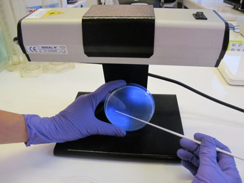Medio reactivo - CD122 - CHROMagar - para aislamiento bacteriano / para muestras de heces / Clostridium difficile