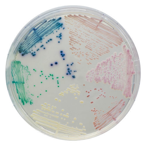 Medio reactivo - CA223-25 - CHROMagar - fungicida / para aislamiento bacteriano / para muestras de orina