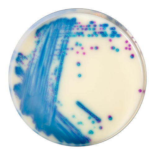 Medio reactivo - VR952  - CHROMagar - para microbiología / para muestras de heces / de enterococos
