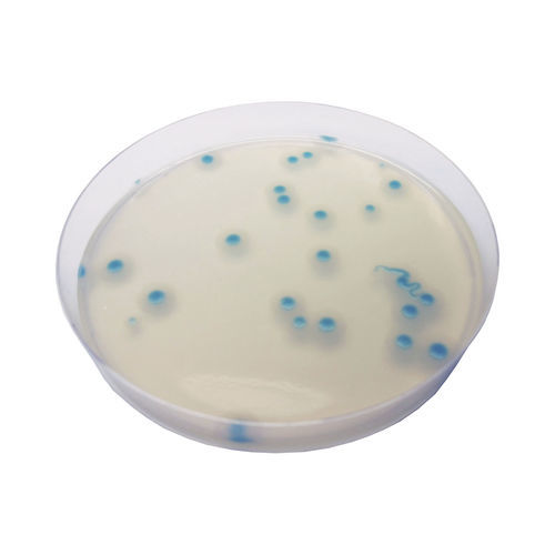 Medio reactivo - BC732  - CHROMagar - para microbiología / para productos agroalimentarios / para evaluaciones medioambientales