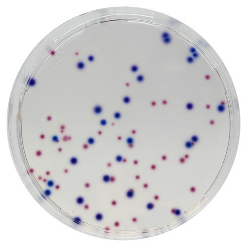 Medio reactivo - EF342 - CHROMagar - para microbiología / para análisis de agua / Escherichia coli