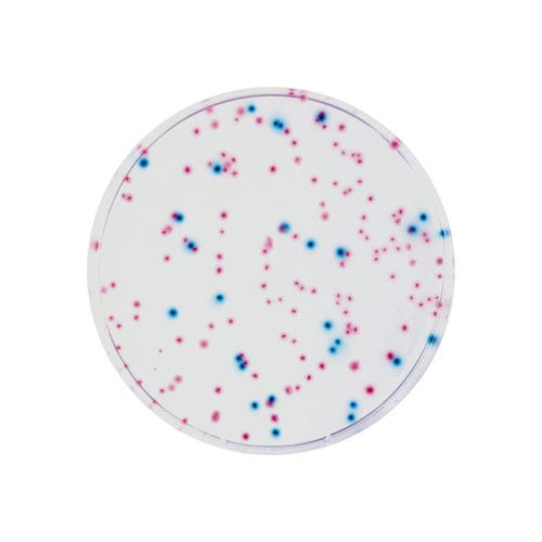 Medio reactivo - EF32 series - CHROMagar - para microbiología / para la seguridad alimentaria / para productos agroalimentarios