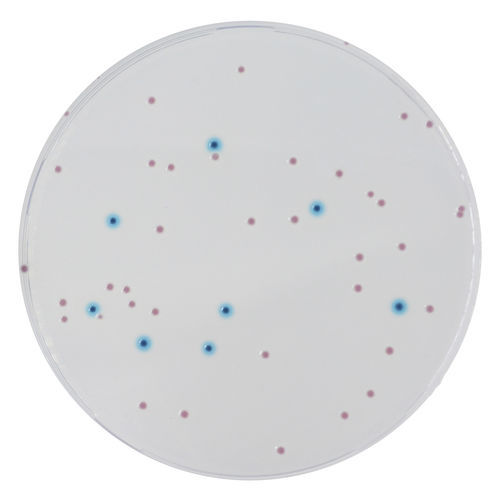 Medio reactivo - EB042 - CHROMagar - para microbiología / de laboratorio / para productos agroalimentarios