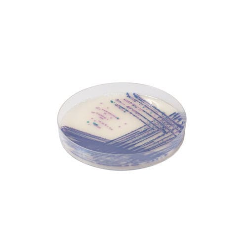 Medio reactivo - SA162 - CHROMagar - para aislamiento bacteriano / para productos agroalimentarios / Escherichia coli