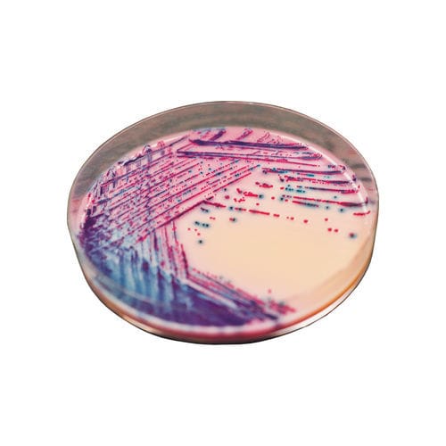Medio reactivo - RR70 series - CHROMagar - para aislamiento bacteriano / clínico / de muestras de sangre