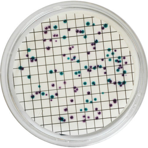 Medio reactivo - EL382 - CHROMagar - para microbiología / para análisis de agua / Escherichia coli