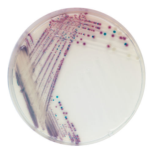 Medio reactivo - VB912 - CHROMagar - para microbiología / de laboratorio veterinario / de plomo