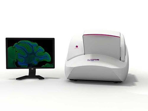 Digitalizador de portaobjetos de microscopio - Pannoramic 250 FLASH III - 3DHISTECH Ltd. - con lector de códigos de barras / de gran capacidad / automático
