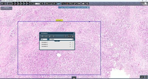 Software médico - ClinicalViewer - 3DHISTECH Ltd. - de hospital / clínico / de teleconsulta