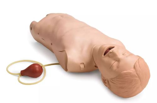 Maniquí de prácticas para atención general - ERTUNÇ ÖZCAN - de anatomía / para la gestión de las vías respiratorias / adulto