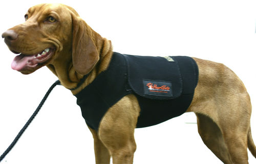 Monitor holter veterinario 1 canal - Holtervests - HeartVets